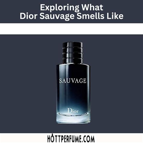 dior sauvage what does it smell like|dior sauvage concentrations.